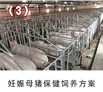 ����ĸ�i��������135�����B(y��ng)�i���g(sh��)���÷���